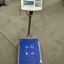 mobile scale Precia